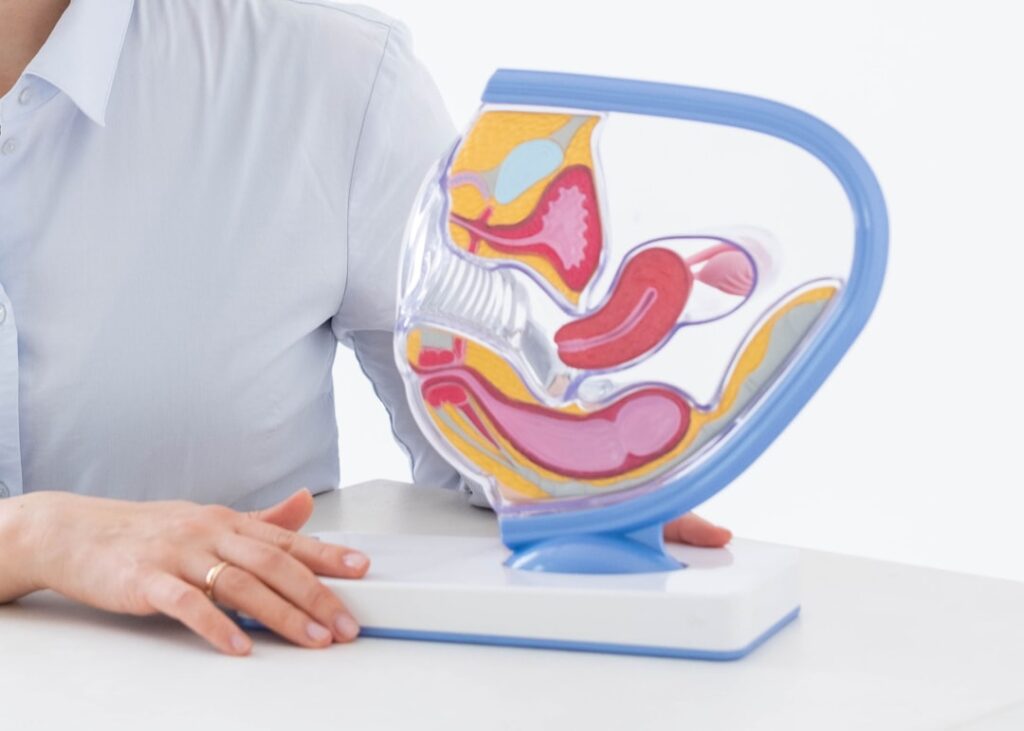 Les nouvelles tendances dans la prise en charge des fibromes utérins à Béthune